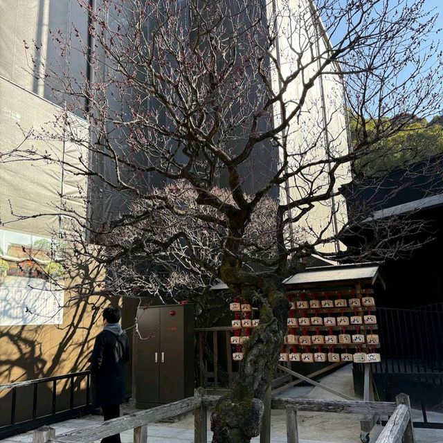 Dazaifu Tenmangu Shrine