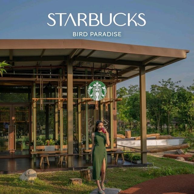 Starbucks Bird Paradise