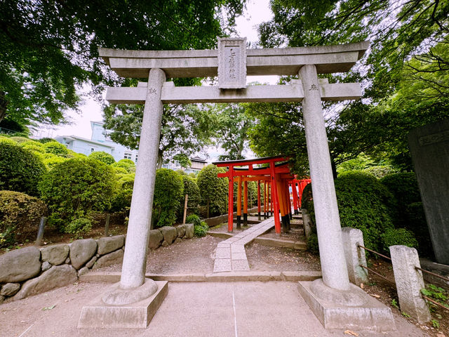 東京根津一日遊：文化與自然的完美結合 🌸🏞️