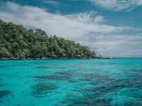 หมู่เกาะสุรินทร์ จ.พังงา 🌴