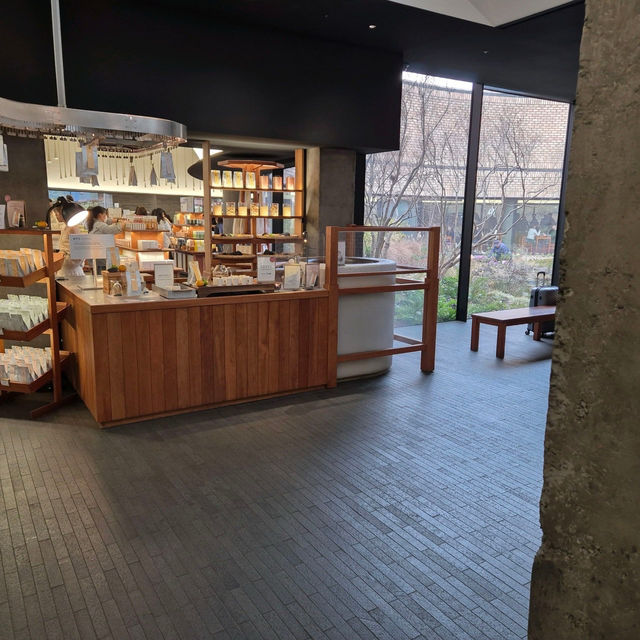 🌳☕️제주 서쪽 가볼만한 곳 오설록 티뮤지엄 