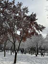 겨울에 가족여행가기 좋은 남이섬☃️