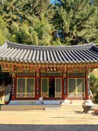 고요하고 평화로운 산책 명소