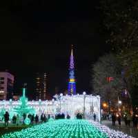 겨울여행에 빠질 수 없는 삿포로 비에이☃️