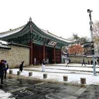 Deoksugung Palace & Stonewall Walkway (德壽宮與石牆路)
