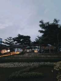 CIBIS PARK X BLOOM'S KAFE