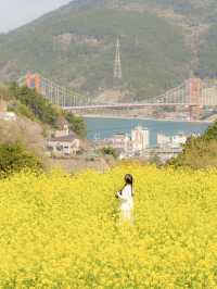 벚꽃 시즌 가야할 남해 여행코스 🌸💛 