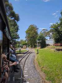 Scenic Journey on the Puffing Billy Railway in Melbourne