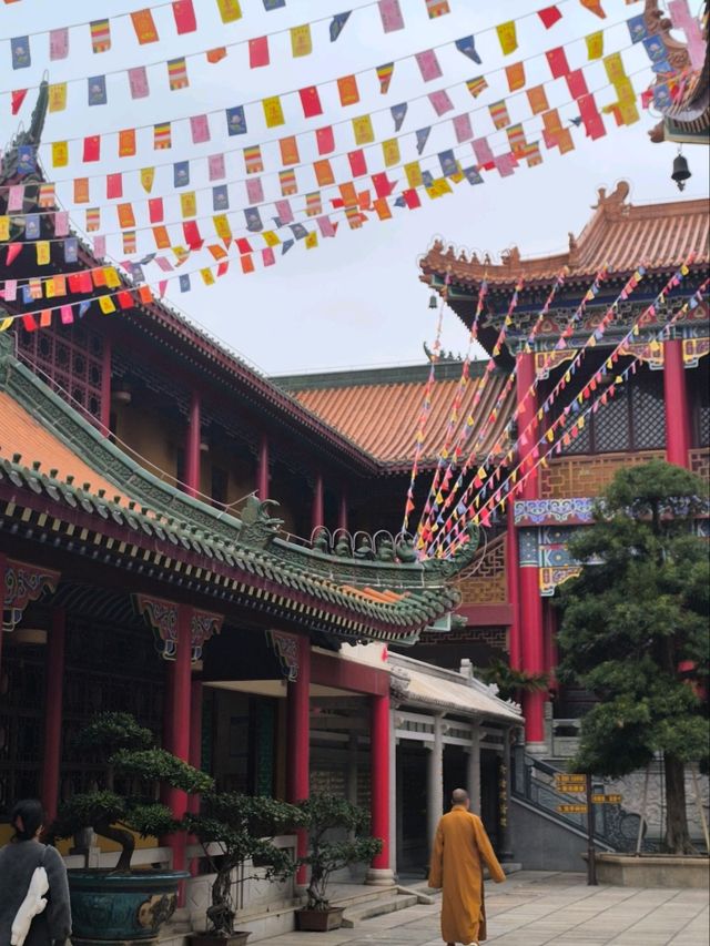 斗門金臺寺~值得一去的地方又可以居高臨下看湖景