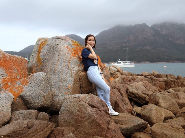 4-Day Tasmania Itinerary: Mountains, Wildlife & Lavender Fields 💜
