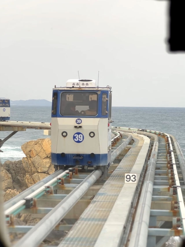 한국의 또다른 나폴리, 울진 죽변에서 스카이레일 타보기🇰🇷