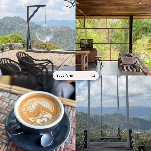 เที่ยวเชียงราย ดอยช้าง 3 วัน 2 คืน 🐑🌳🍃🍵