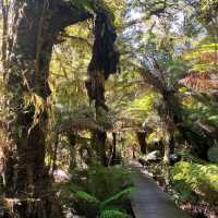 Great Otway National Park