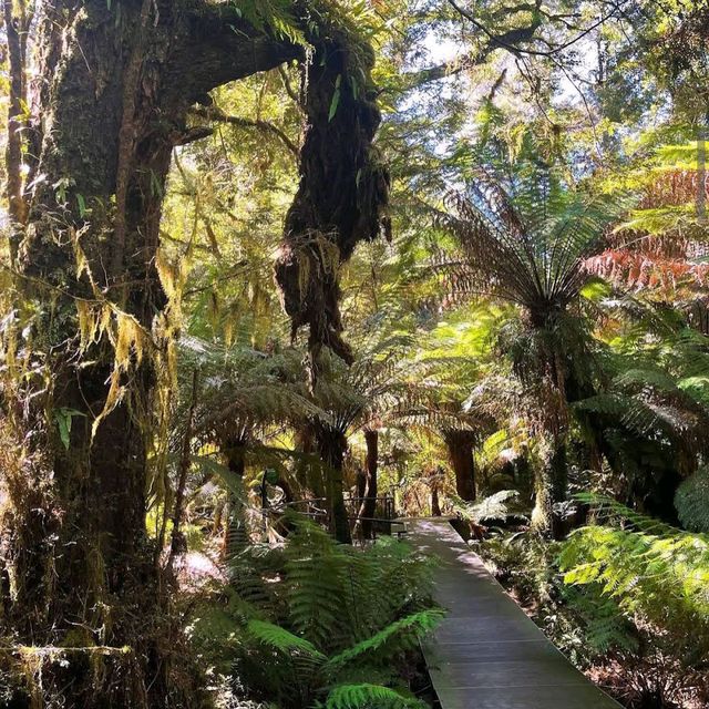 Great Otway National Park