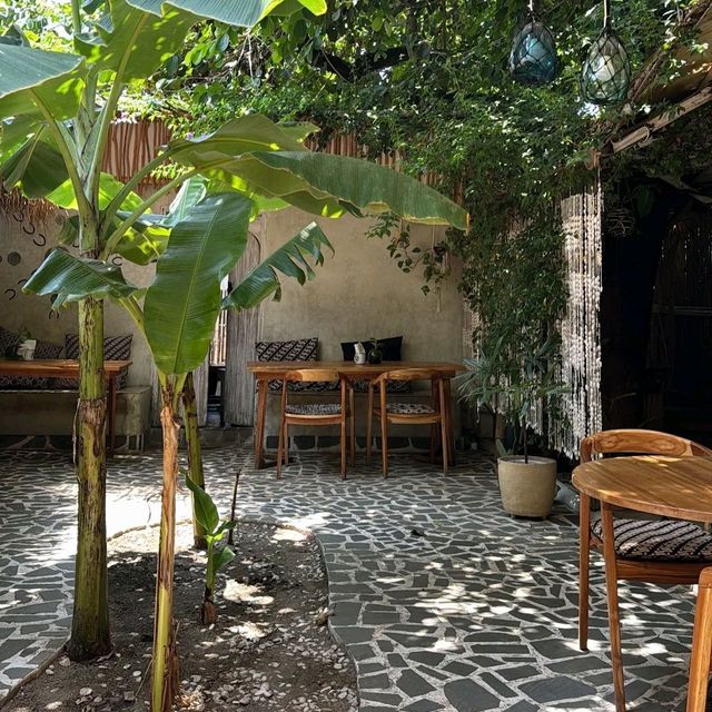 excellent food and vibe