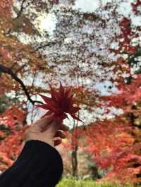 Kyoto - Bishamon-do temple