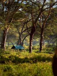 Day Trip to Lake Naivasha and Crescent Walking Safari - See Wild Fish Eagles Hunt!