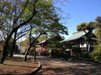 Uenopark Park