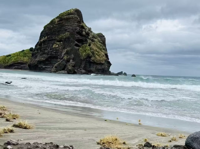 Step into Spring - Piha Beach Auckland Hiking Trails