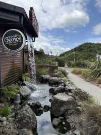 48 Hours In Rotorua, Lakeside Bliss In New Zealand. Retirement Vibes! 