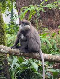 Sri Lanka: A Little Island with a Lot to Offer