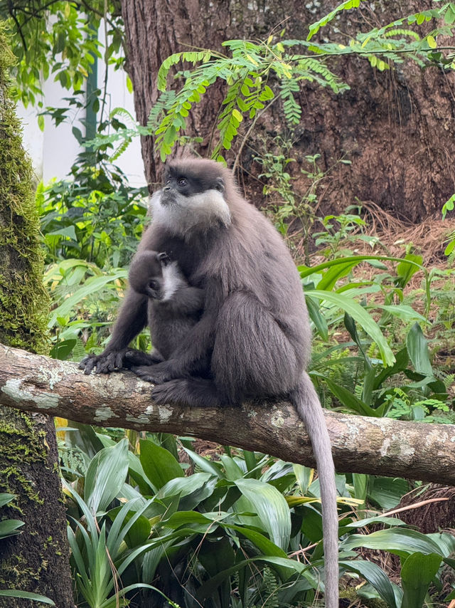 Sri Lanka: A Little Island with a Lot to Offer