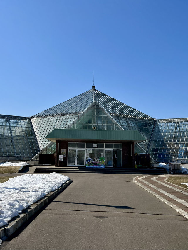 Spring Vibes in Hakodate: A Relaxing Visit to Hakodate Tropical Botanical Garden
