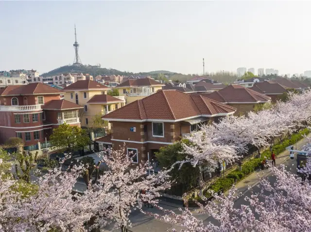 ย่านสไตล์เยอรมันของชิงเต่า