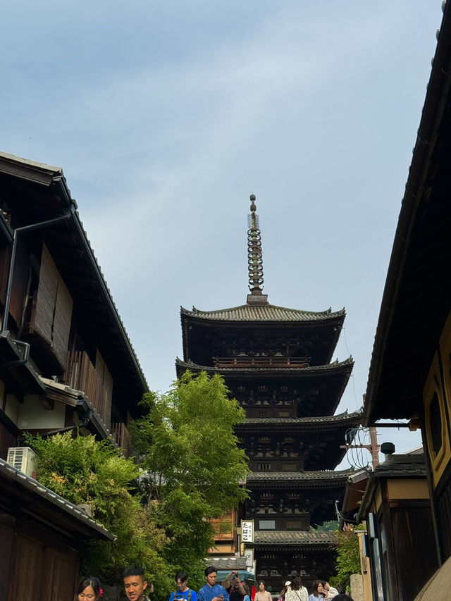 🏯 교토 필수 관광지 BEST 5 – 일본 전통 감성을 제대로 느낄 곳!