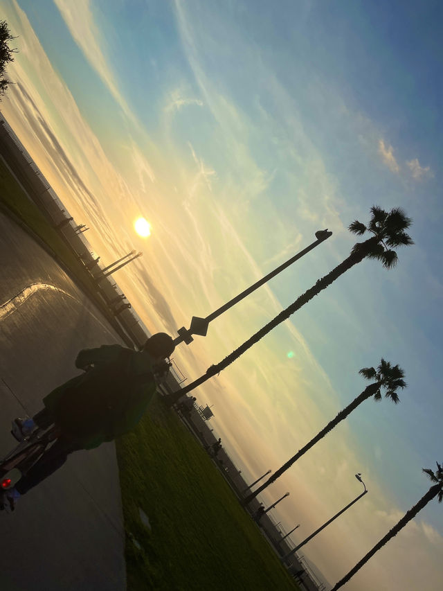 【🌊カリフォルニアの絶景ビーチ！「サンタモニカビーチ」完全ガイド🚲✨】