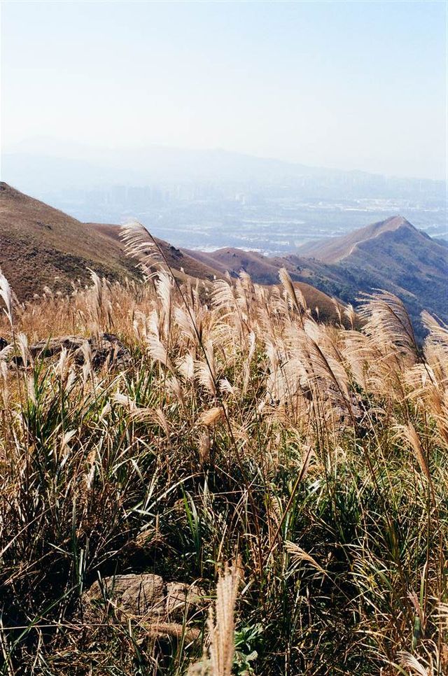Fantastic Views of New Territories West at Kai Kung Leng