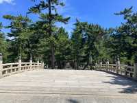 【神々のふるさと】出雲大社 ⛩🌿✨