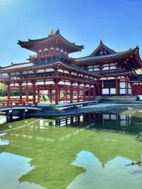 Spring Day Trip to Byodo-in Temple (Uji City)