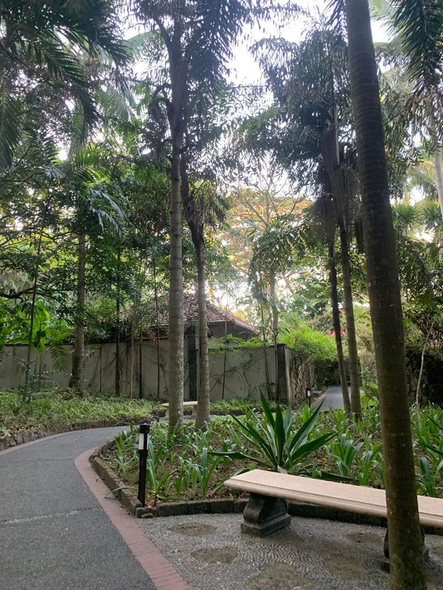🇵🇭Holistic Sanctuary at The Farm at San Benito💙Must do! 