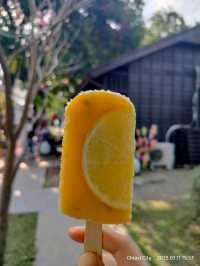 แวะเชคอินHinoki Village หมู่บ้านญี่ปุ่นที่ Chiayi 