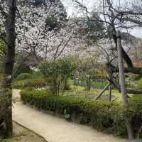 【山口県下関市🇯🇵長府庭園】歴史に触れながら庭園散歩☺️