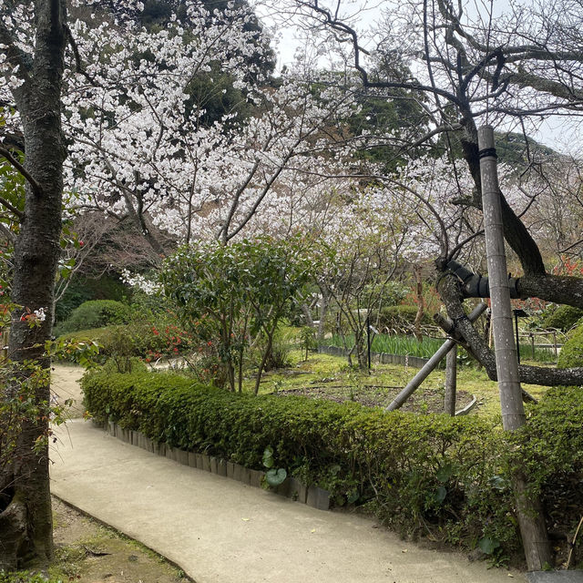 【山口県下関市🇯🇵長府庭園】歴史に触れながら庭園散歩☺️