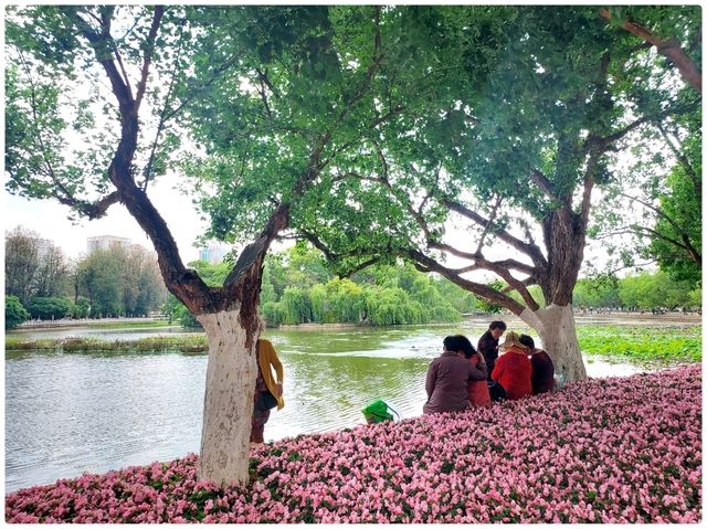 Spring @ Kunming
