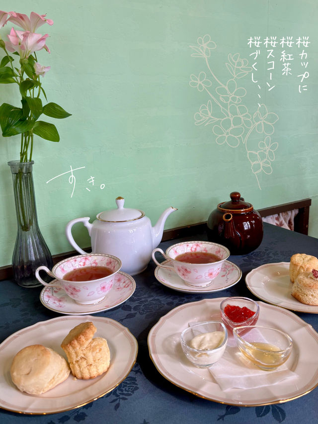 [富山旅行]さくら名所100選の松川付近で桜堪能🌸