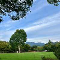 富陽自然生態公園·綠意世外桃源