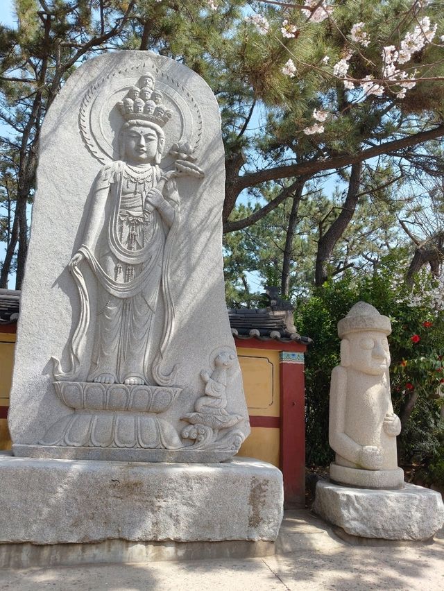 釜山櫻花季滿滿幸褔的海邊廟宇~海東龍宮寺