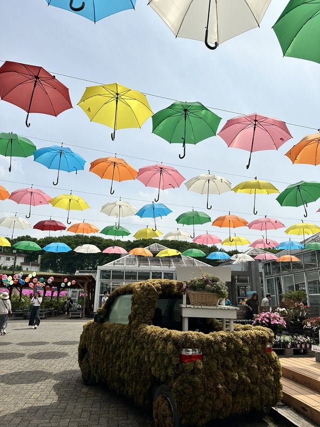 【栃木×鹿沼花木センター】園内にはアンブレラスカイも・・