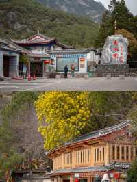 อุทยานน้ำหยก Lijiang Jade Water Village 