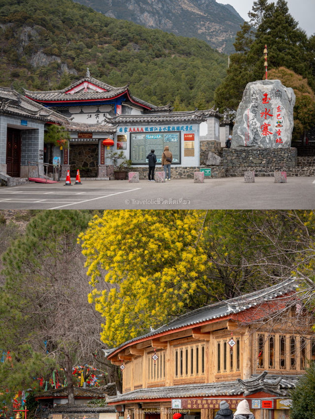 อุทยานน้ำหยก Lijiang Jade Water Village 