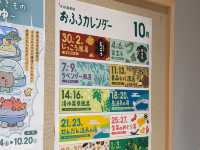 表參道到涉谷的時尚之旅！東京一日遊🗼✨ #東京行程