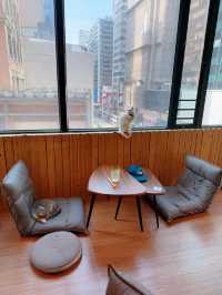 必去貓cafe❤️
