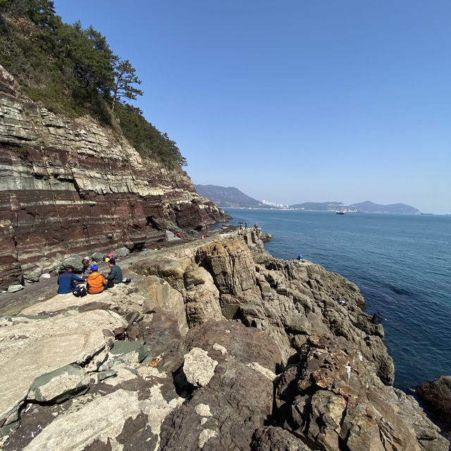松島空中纜車×海景步道｜貓咪陪你散步的療癒系公園