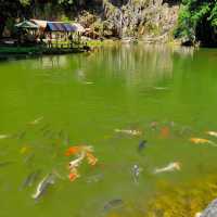 Qing Xin Ling — Ipoh’s Hidden Paradise of Nostalgia and Nature