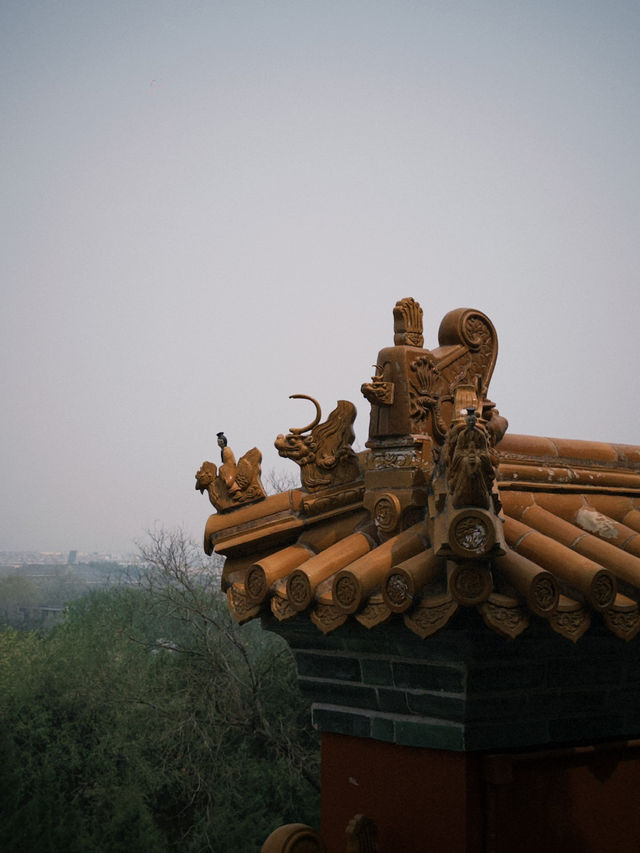 探索頤和園：北京的皇家園林瑰寶⛰️🚣