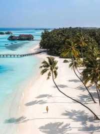 Maldives Isn’t As Expensive As You Think!